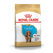 Royal Canin Cocker Spaniel Puppy