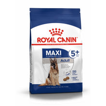 Royal Canin Maxi Adult 5+